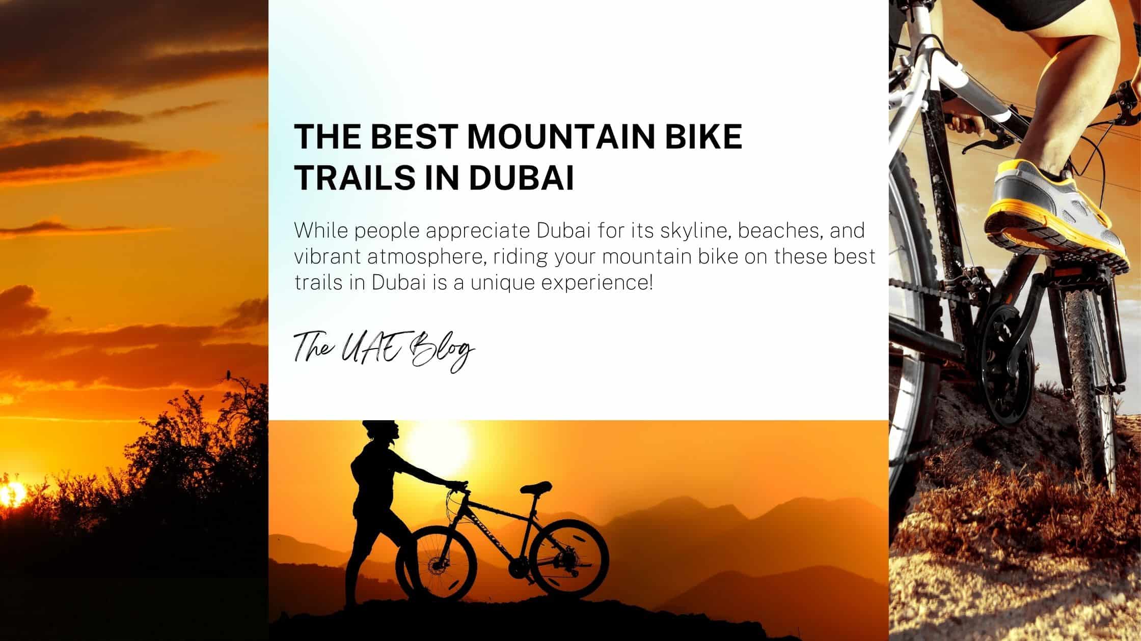 While people appreciate Dubai for its skyline, beaches, and vibrant atmosphere, riding your mountain bike on these best trails in Dubai is a unique experience!
