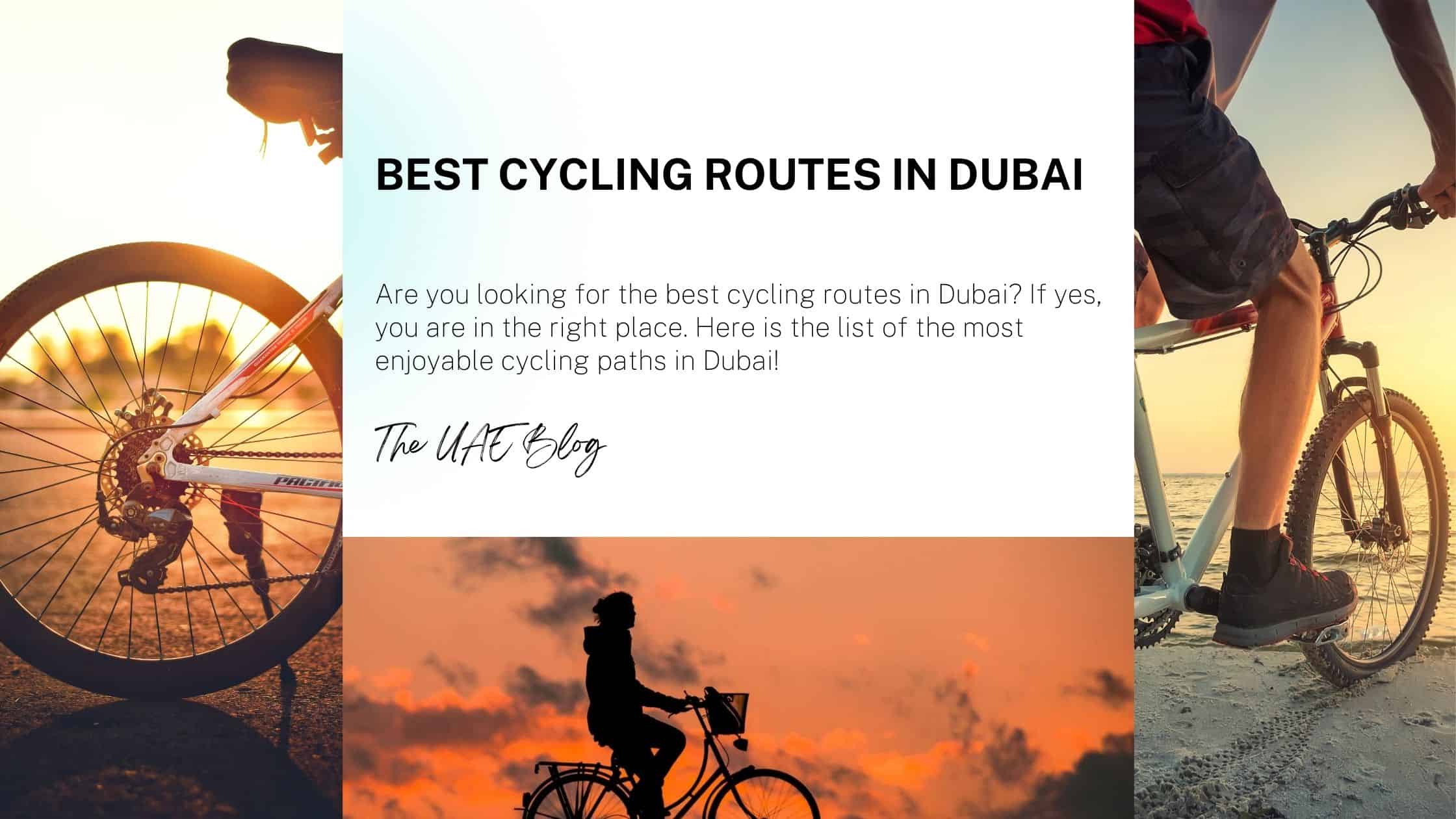 Best Cycling Routes in Dubai