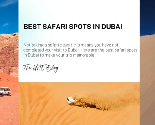 Best Safari Spots in Dubai