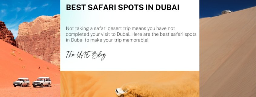 Best Safari Spots in Dubai