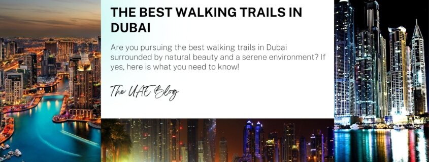 The Best Walking Trails in Dubai