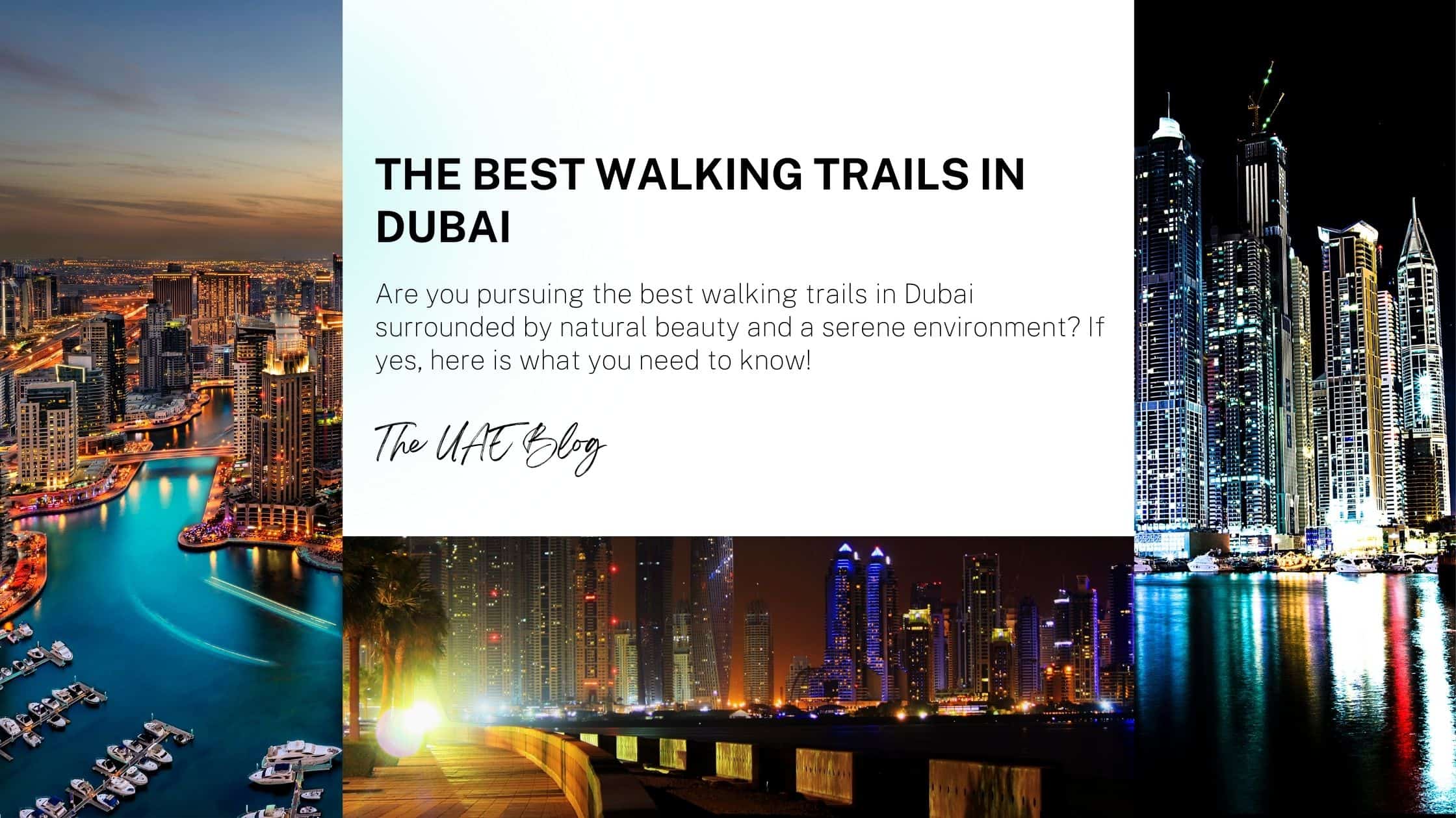 The Best Walking Trails in Dubai