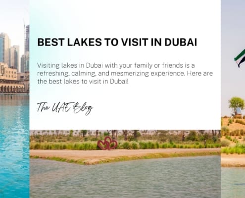 Best lakes to visit in Dubai