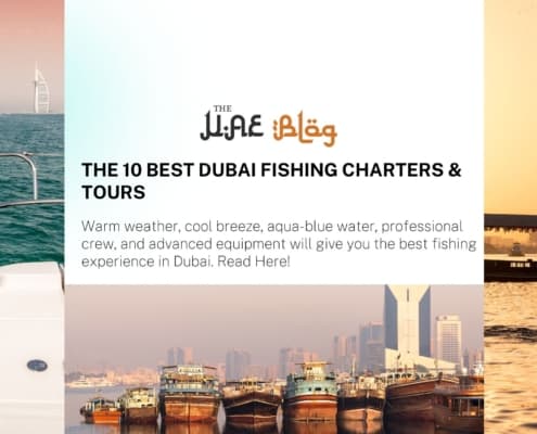THE 10 BEST Dubai Fishing Charters & Tours