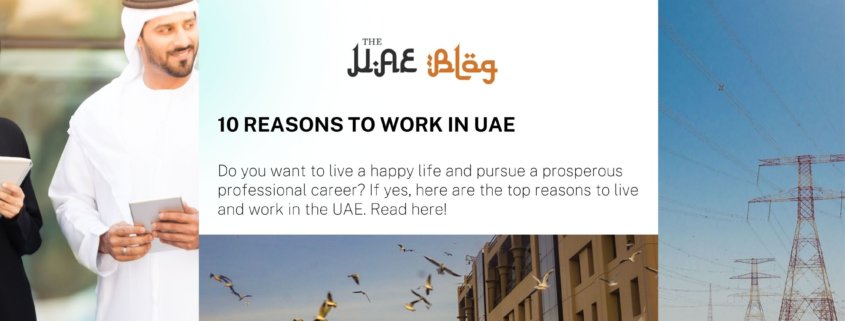 10 Reasons to Work in UAE