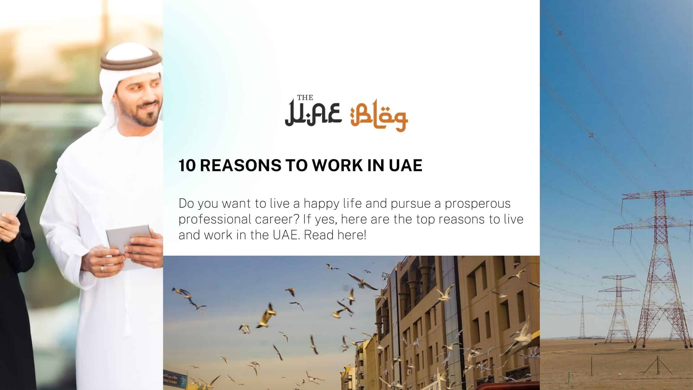10 Reasons to Work in UAE