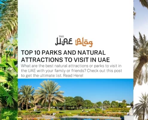 What are the best natural attractions or parks to visit in the UAE with your family or friends? Check out this post to get the ultimate list. Read Here!