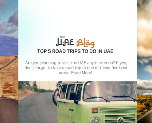 Top 5 Road Trips to do in UAE