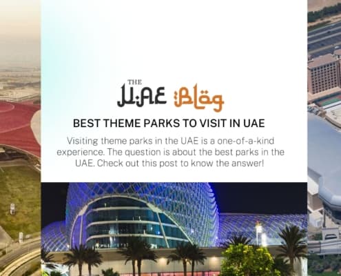 Best Theme Parks to Visit in UAE