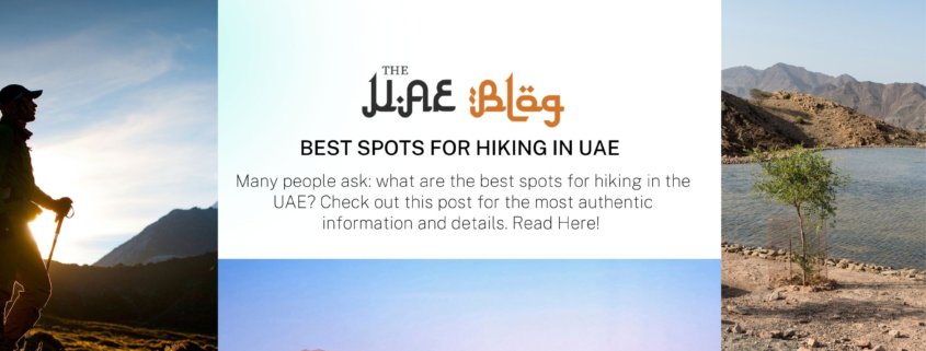 Best spots for hiking in UAE