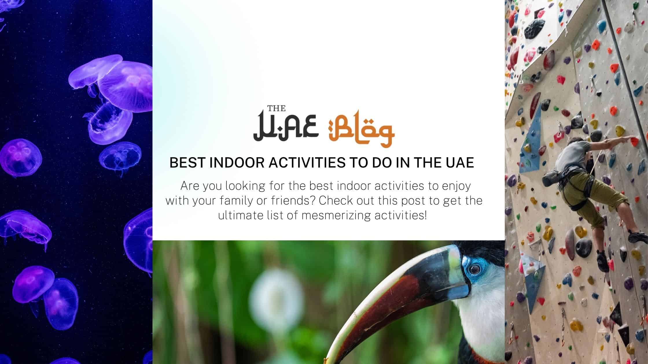 Best Indoor Activities to do in the UAE