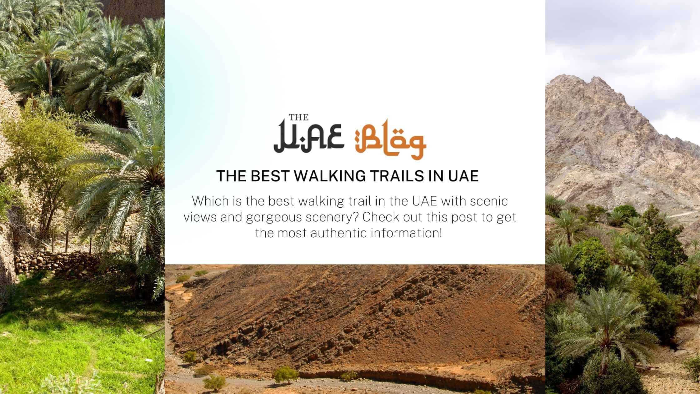 The Best Walking Trails in UAE