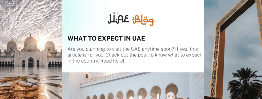 What to Expect in UAE