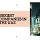 Biggest Companies in the UAE